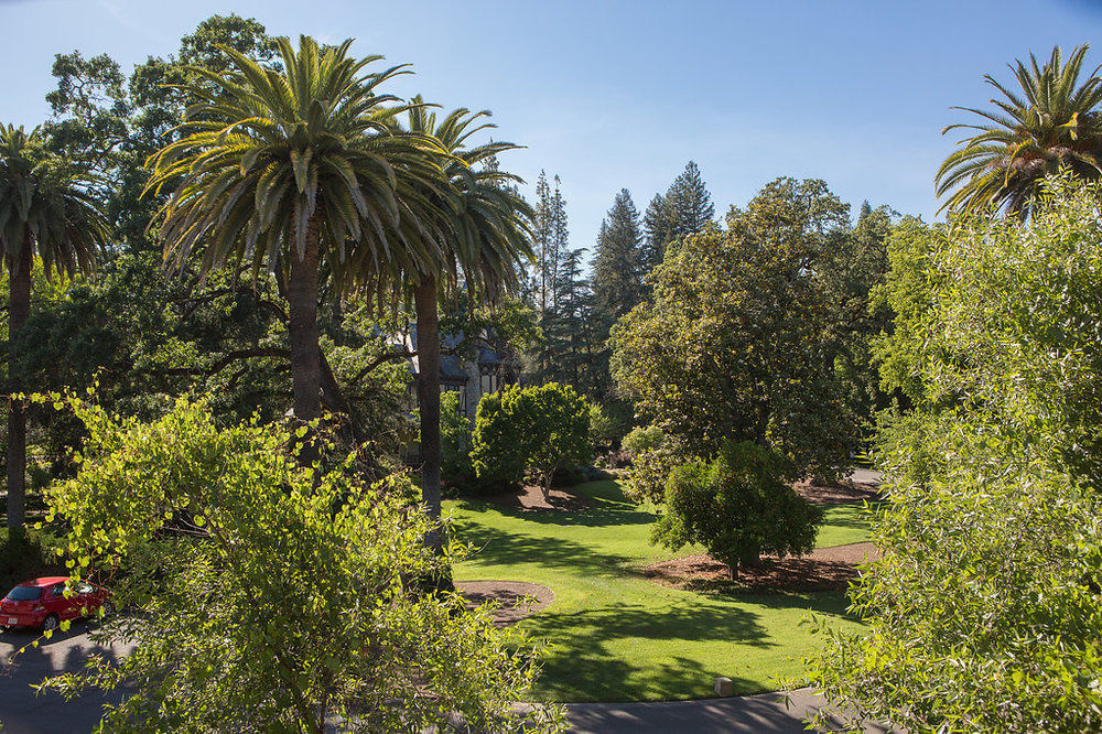 Alila Napa Valley, A Hyatt Resort Santa Helena Exterior foto