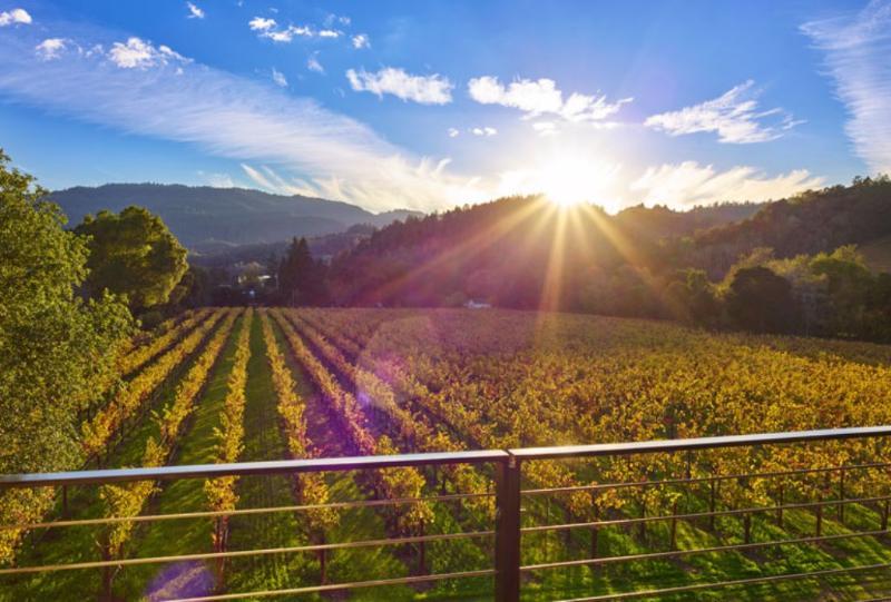 Alila Napa Valley, A Hyatt Resort Santa Helena Exterior foto