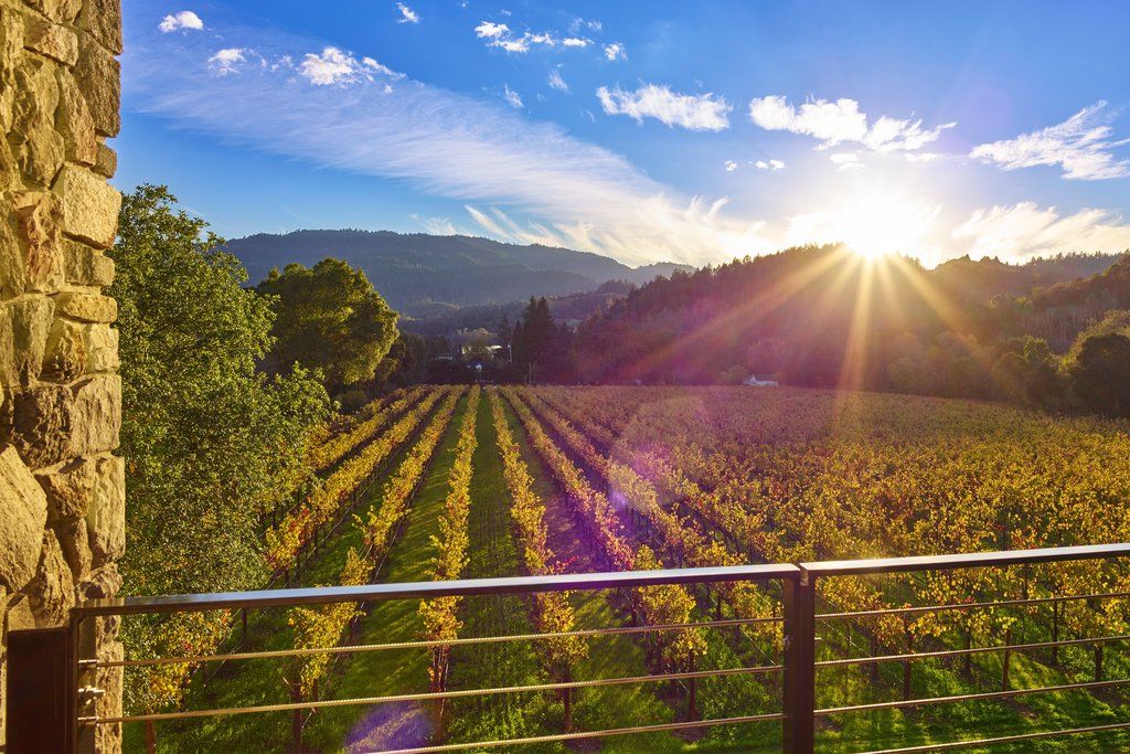 Alila Napa Valley, A Hyatt Resort Santa Helena Exterior foto